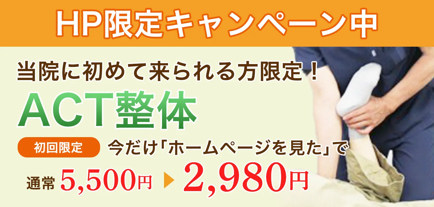 初回限定キャンペーン